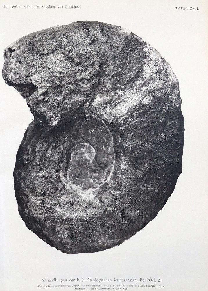 Große Abbildung Nr.1: 123-1503 Toula,F.: (Verschiedene Gebiete - Varia, Geologie - Mineralogie u. Paläontologie)