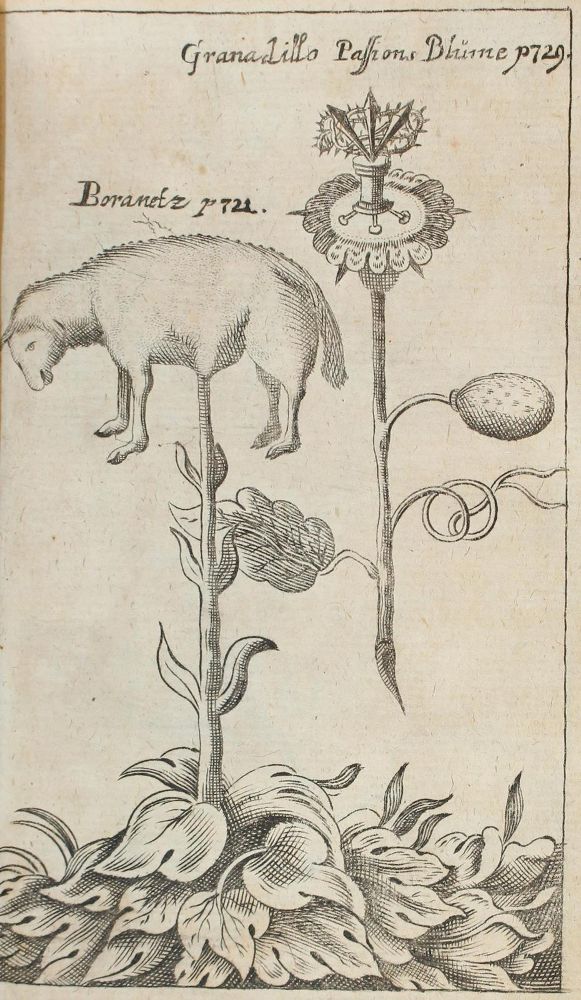 Große Abbildung Nr.4: 123-1537 Seyfried,J.H.: (Verschiedene Gebiete - Varia)