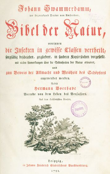 Große Abbildung Nr.1: 123-1541 Swammerdamm,J.: (Verschiedene Gebiete - Varia)