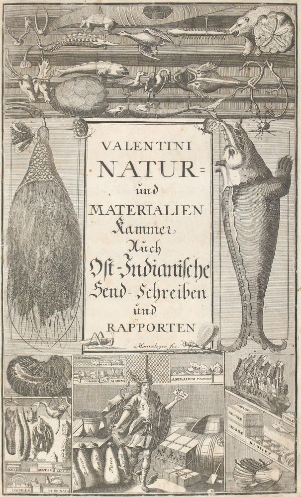 Große Abbildung Nr.1: 123-1547 Valentini,M.B.: (Verschiedene Gebiete - Varia)
