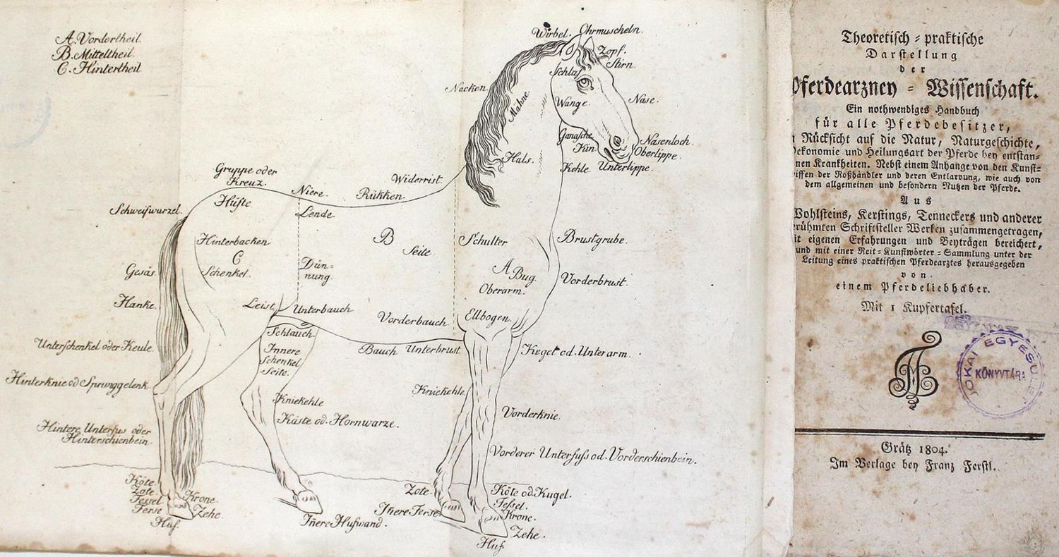 Große Abbildung Nr.1: 123-1549 Anonym.: (Verschiedene Gebiete - Varia, Veterinärmedizin, Pfede)