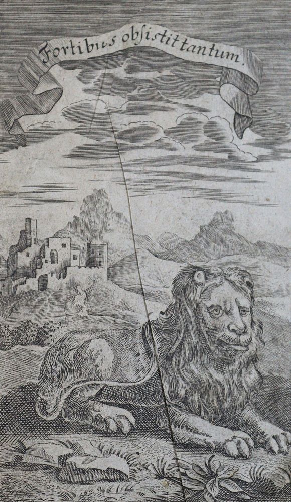 Große Abbildung Nr.2: 123-1554 Wolff,C.: (Verschiedene Gebiete - Varia)