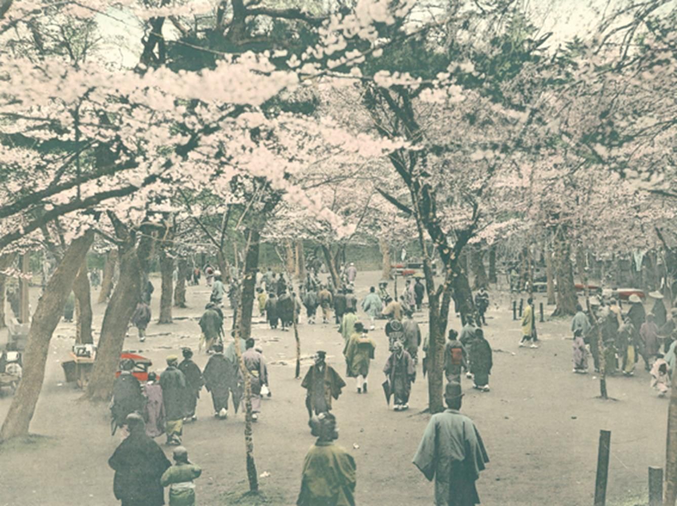 Große Abbildung Nr.1: 123-1577 Takashima,S.: (Asien, Japan)