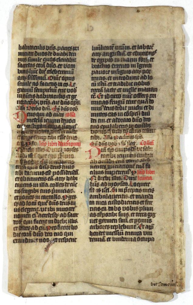 Große Abbildung Nr.1: 123-177 Einbandmakulatur.: (Handschriften)