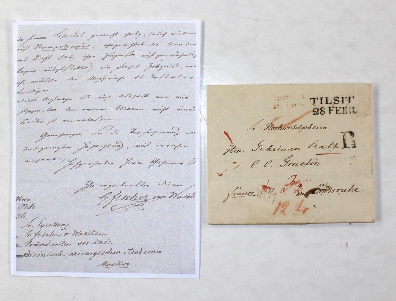 Große Abbildung Nr.1: 123-1880 Fischer von Waldheim, Johann Gotthelf,: (Autographen)