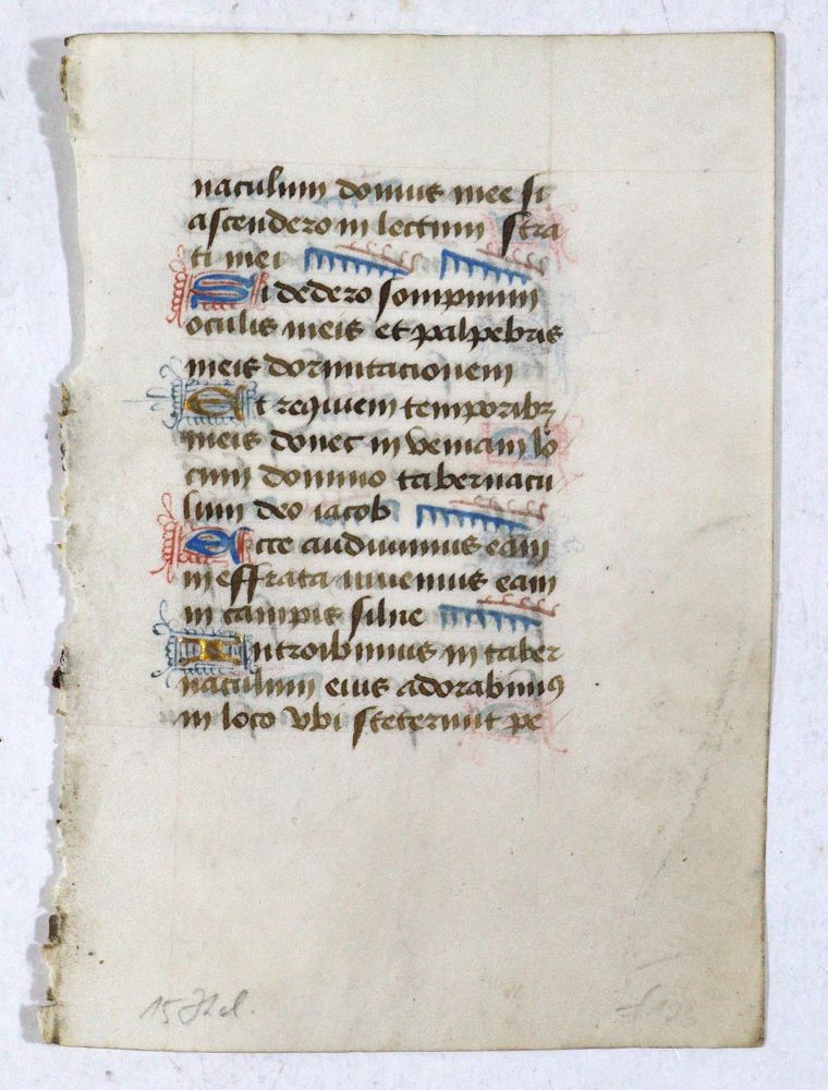 Große Abbildung Nr.12: 123-194 Stundenbuch.: (Handschriften)