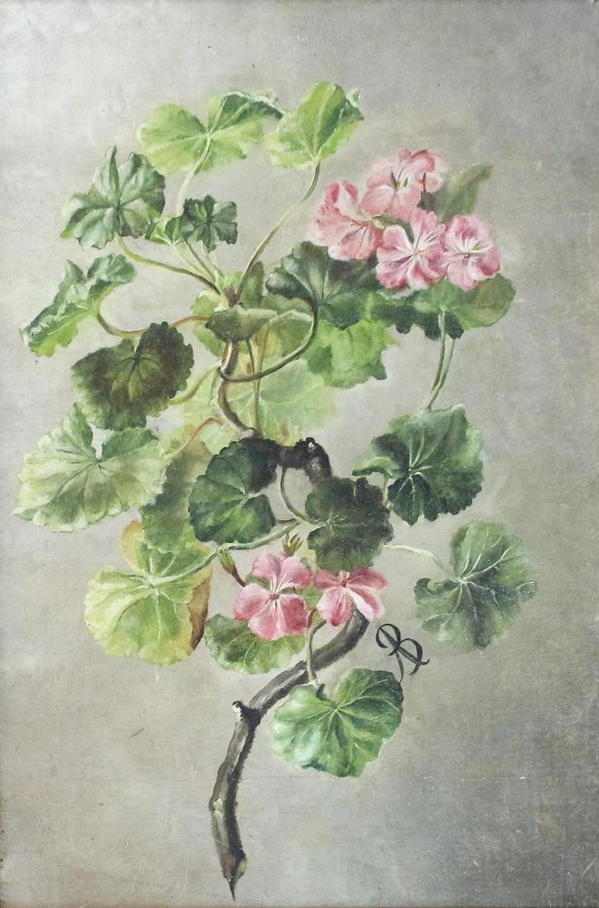 Große Abbildung Nr.10: 123-2588 Blumenstillleben.: (Varia, Botanik)