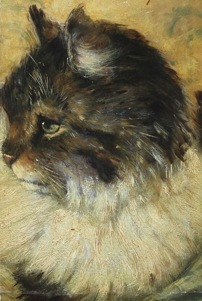 Große Abbildung Nr.1: 123-2628 Katze.: (Varia)