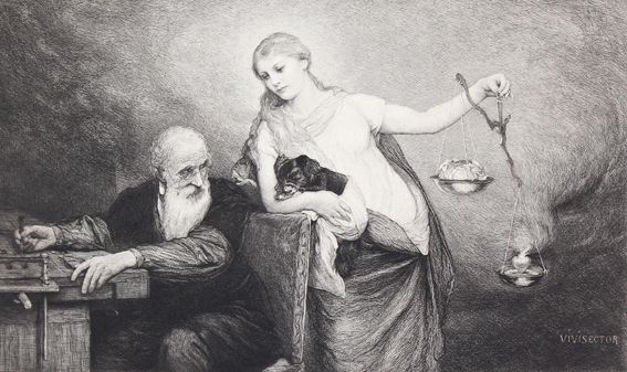 Große Abbildung Nr.2: 123-2649 Konvolut: (Varia)