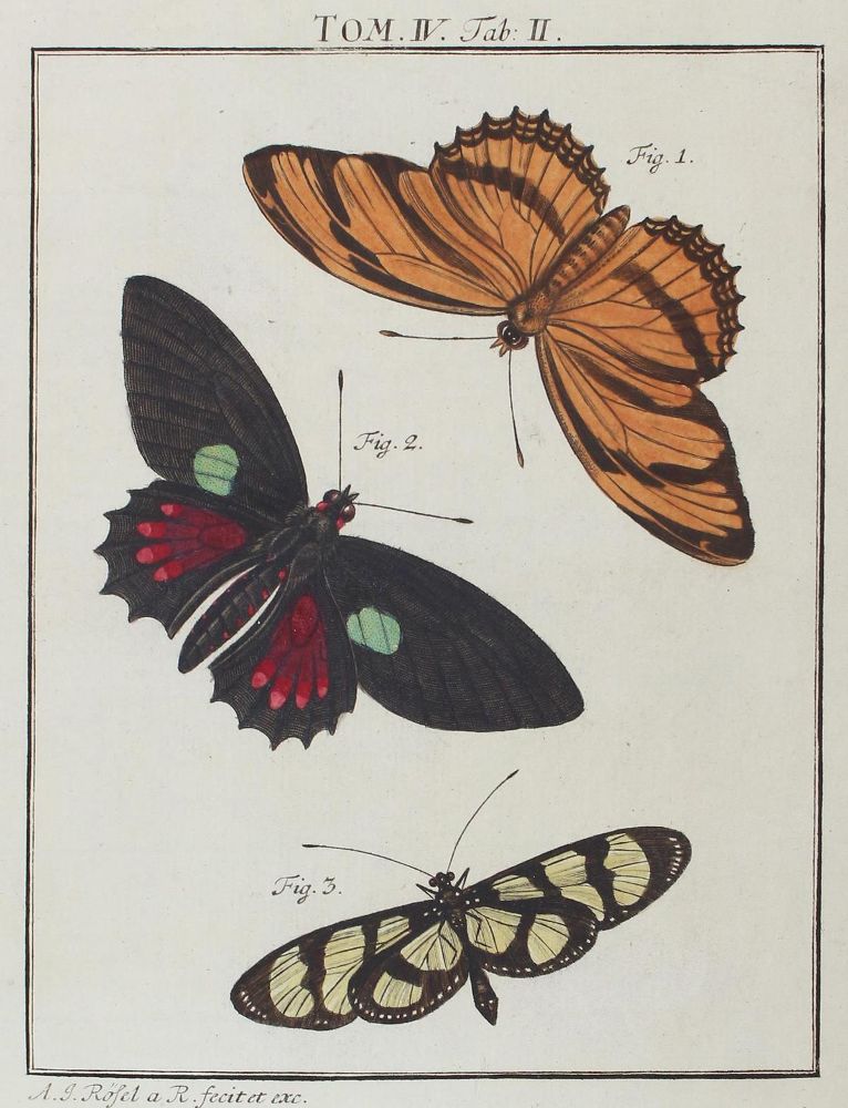 Große Abbildung Nr.1: 123-2742 Konvolut.: (Varia, Zoologie)