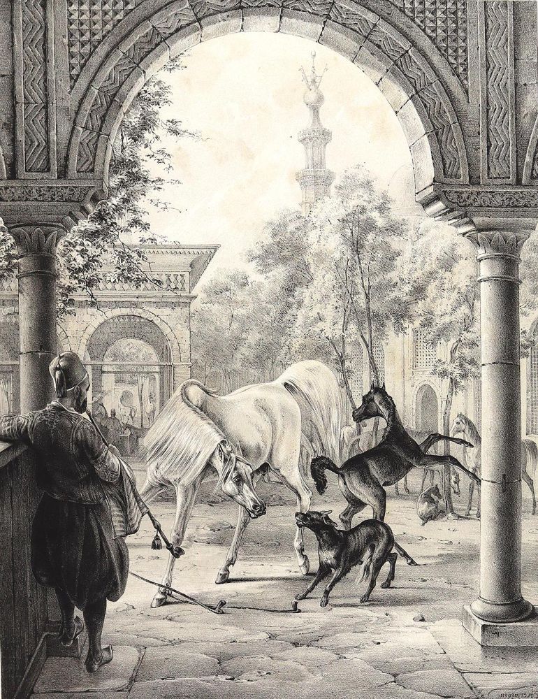 Große Abbildung Nr.3: 123-2982 Sammlung: (Ausland, Orient)