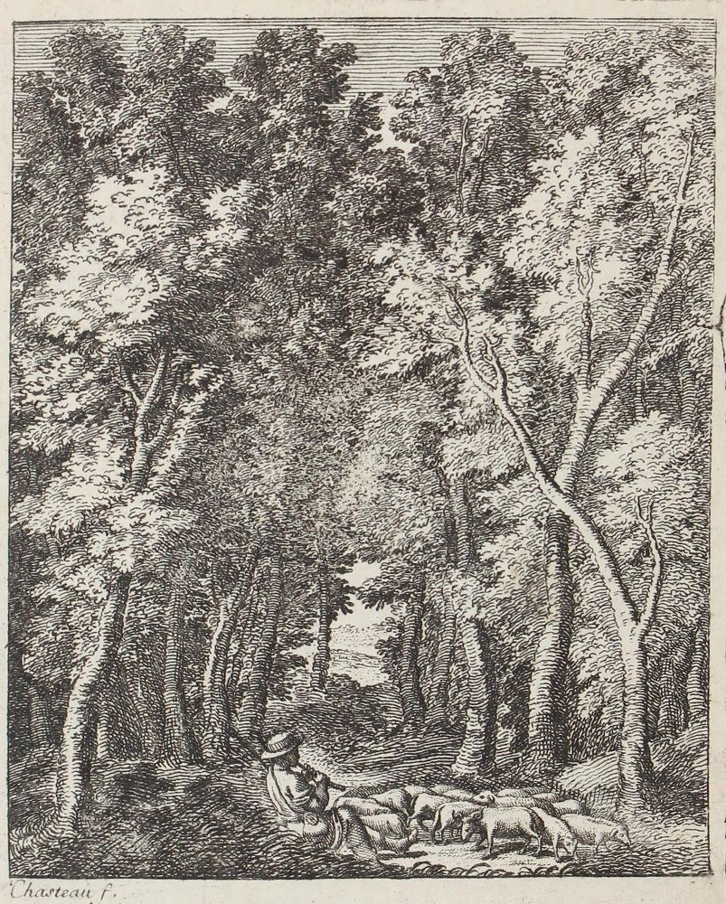 Große Abbildung Nr.1: 123-3177 Chasteau, Guillaume: (Künstlergraphik)
