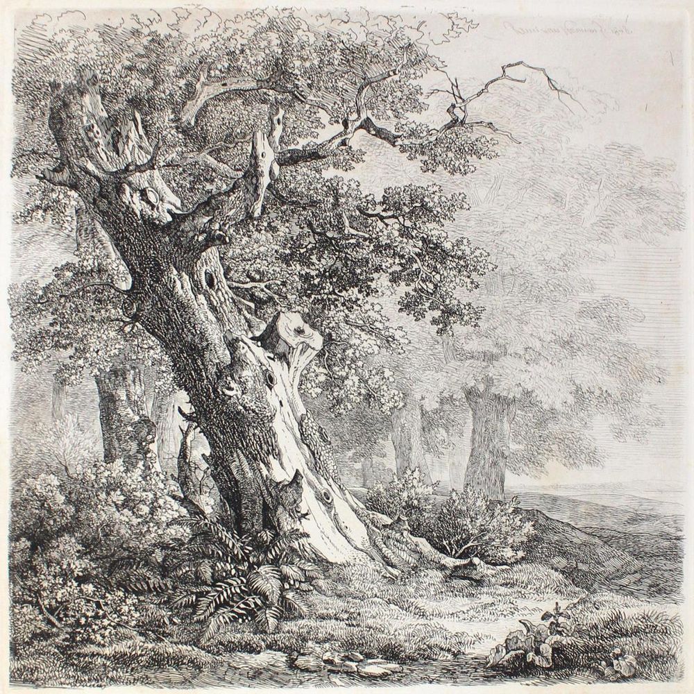 Große Abbildung Nr.1: 123-3369 Hannen, Remigius Adrianus van: (Künstlergraphik)