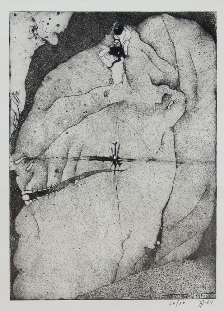 Große Abbildung Nr.1: 123-3434 Janssen, Horst: (Künstlergraphik)