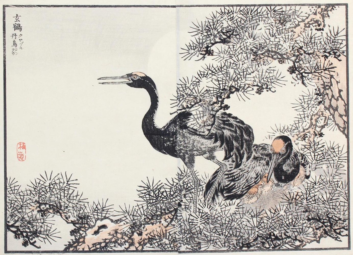 Große Abbildung Nr.1: 123-3437 Bairei, Kono Naotoyo: (Künstlergraphik, Japan)