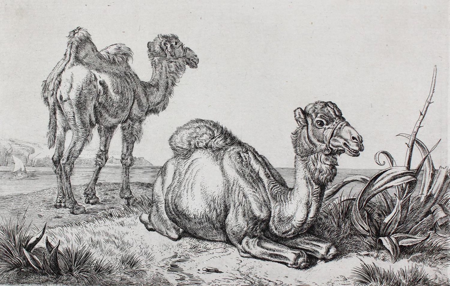Große Abbildung Nr.1: 123-3564 Klein, Johann Adam: (Künstlergraphik)