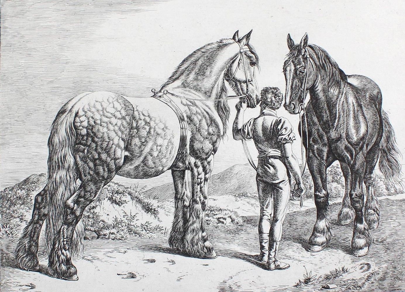Große Abbildung Nr.1: 123-3567 Klein, Johann Adam: (Künstlergraphik)