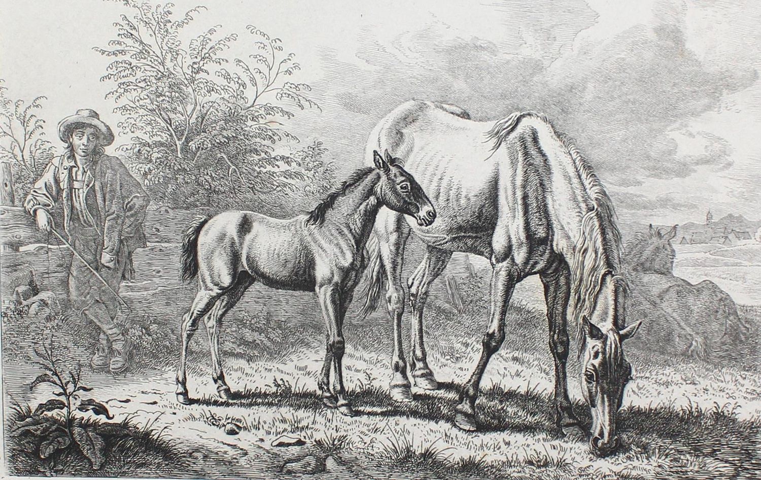 Große Abbildung Nr.1: 123-3568 Klein, Johann Adam: (Künstlergraphik)