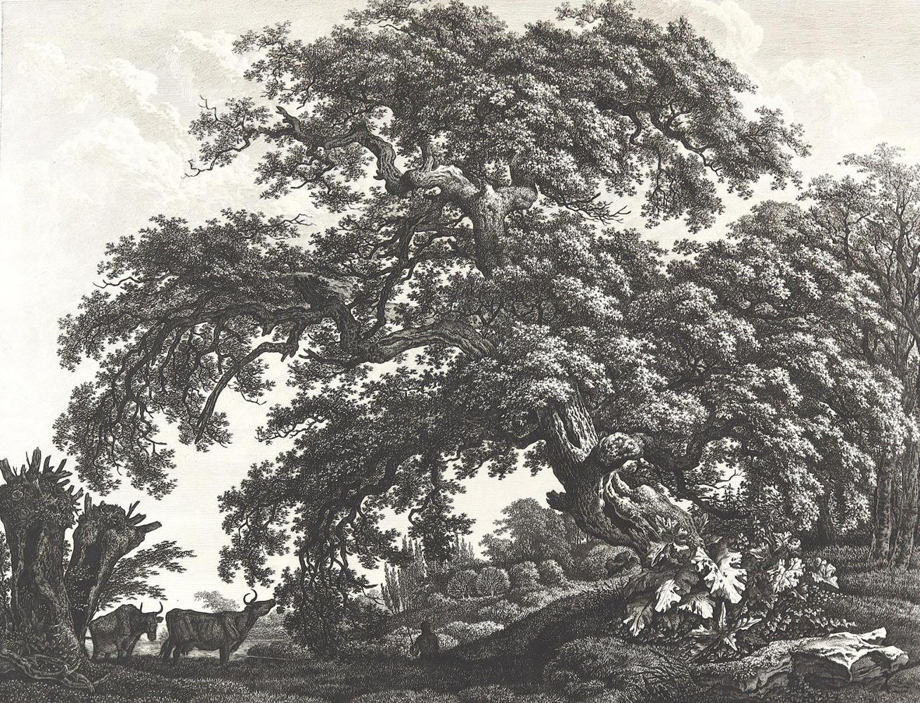 Große Abbildung Nr.1: 123-3606 Kolbe, Carl Wilhelm d.Ä.: (Künstlergraphik)
