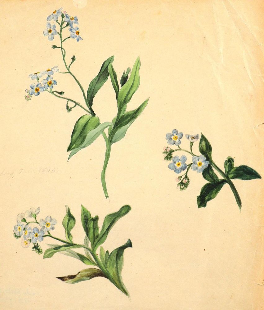 Große Abbildung Nr.4: 123-3791 Oesterley, Hulda: (Künstlergraphik)