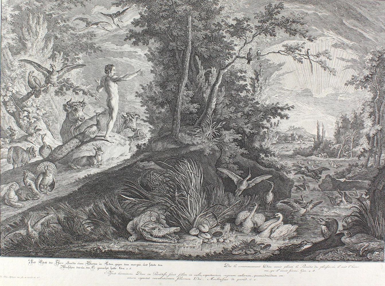 Große Abbildung Nr.1: 123-3925 Ridinger, Johann Elias: (Künstlergraphik)