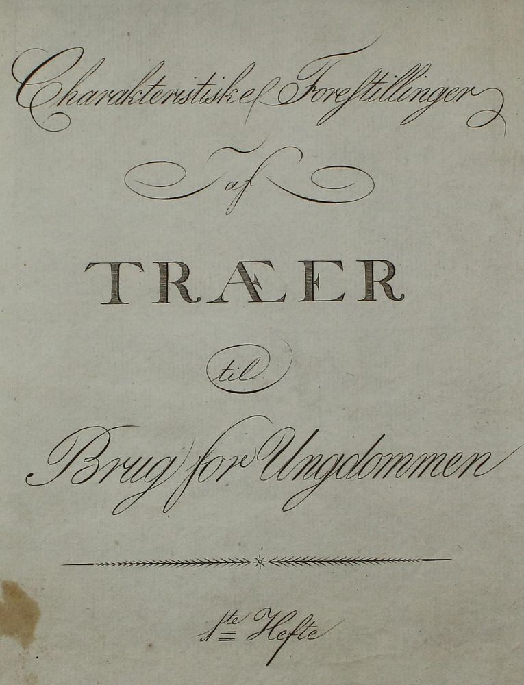 Große Abbildung Nr.10: 123-3945 Rossi, Matteo Gregorio de: (Künstlergraphik)