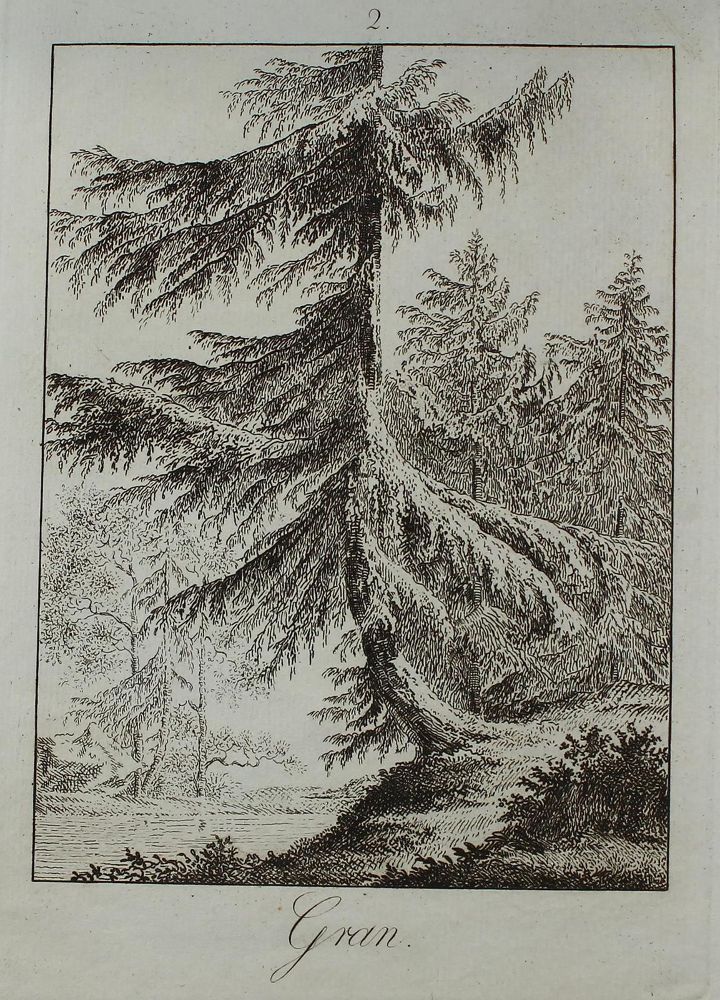 Große Abbildung Nr.3: 123-3945 Rossi, Matteo Gregorio de: (Künstlergraphik)