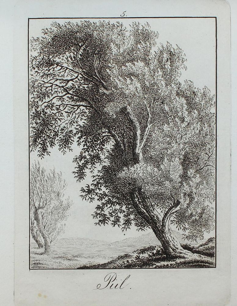 Große Abbildung Nr.6: 123-3945 Rossi, Matteo Gregorio de: (Künstlergraphik)
