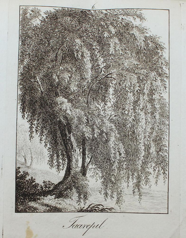 Große Abbildung Nr.7: 123-3945 Rossi, Matteo Gregorio de: (Künstlergraphik)