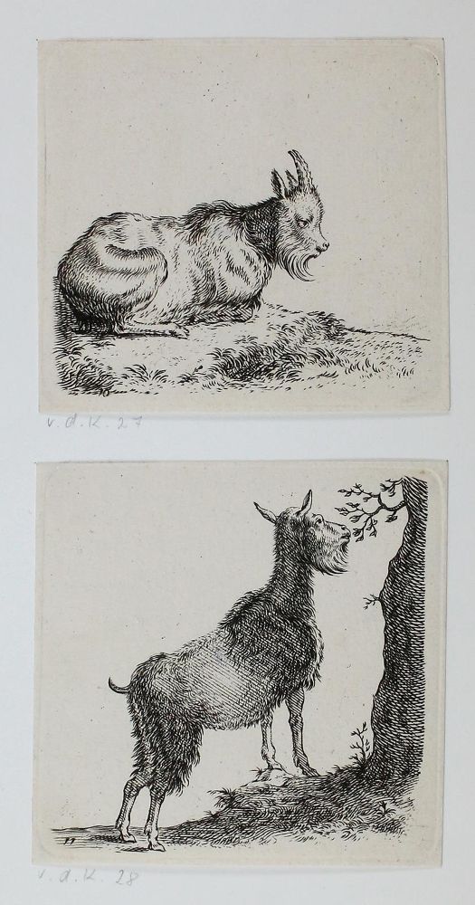 Große Abbildung Nr.1: 123-3965 Saftleven, Cornelis: (Künstlergraphik)