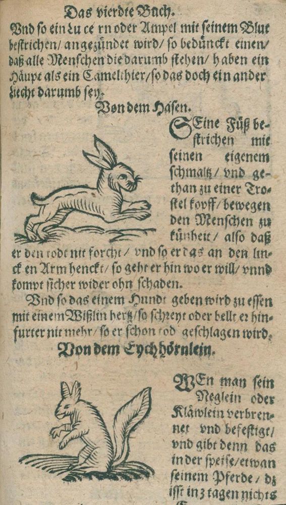 Große Abbildung Nr.1: 123-409 (Albertus Magnus.: (Grenzwissenschaften und Okkultismus)