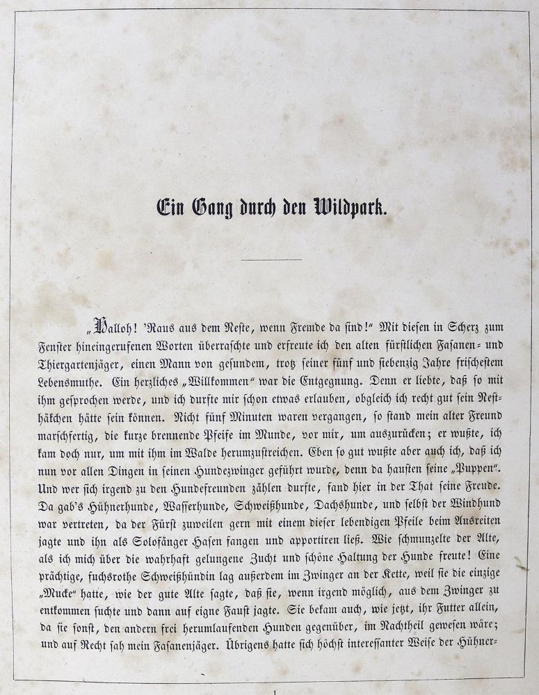 Große Abbildung Nr.3: 123-579 Hammer,G.: (Jagd)
