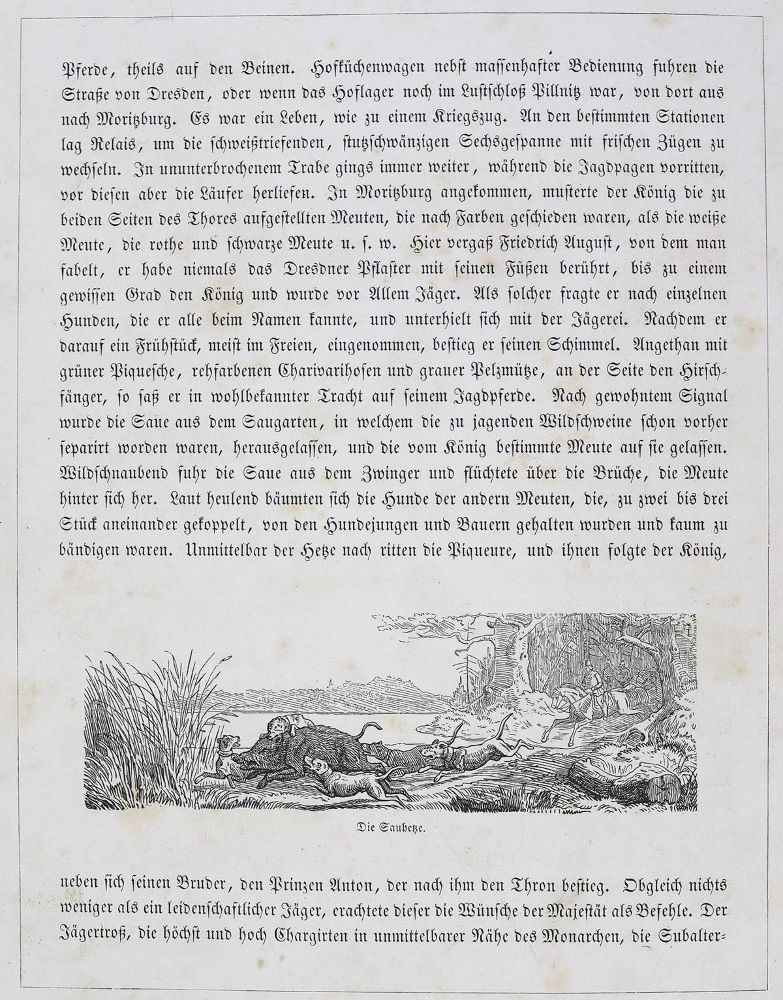Große Abbildung Nr.5: 123-579 Hammer,G.: (Jagd)