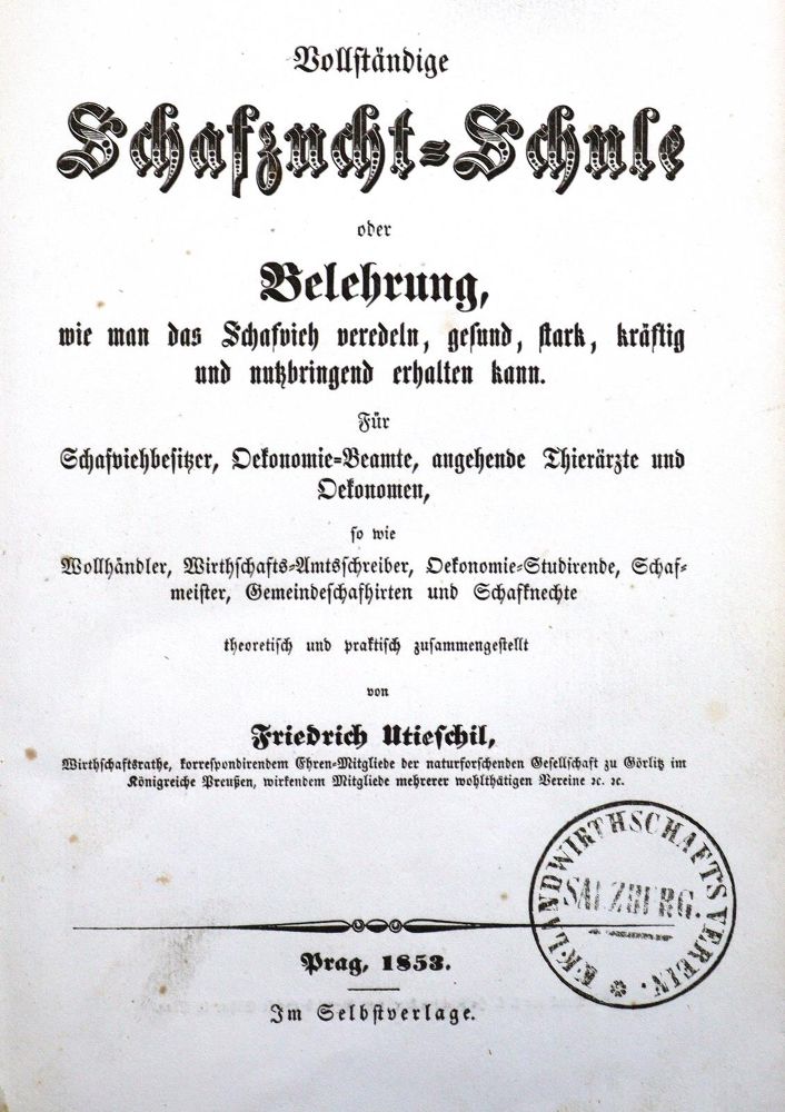 Große Abbildung Nr.1: 123-609 Utieschil,F.: (Land- und Forstwirtschaft, Landwirtschaft, Schafszucht)