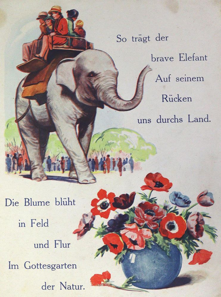 Große Abbildung Nr.1: 123-779 Konvolut: (Kinder- und Jugendbücher)