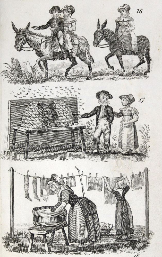 Große Abbildung Nr.1: 123-812 (Taylor Gilbert,A.).: (Kinder- und Jugendbücher)