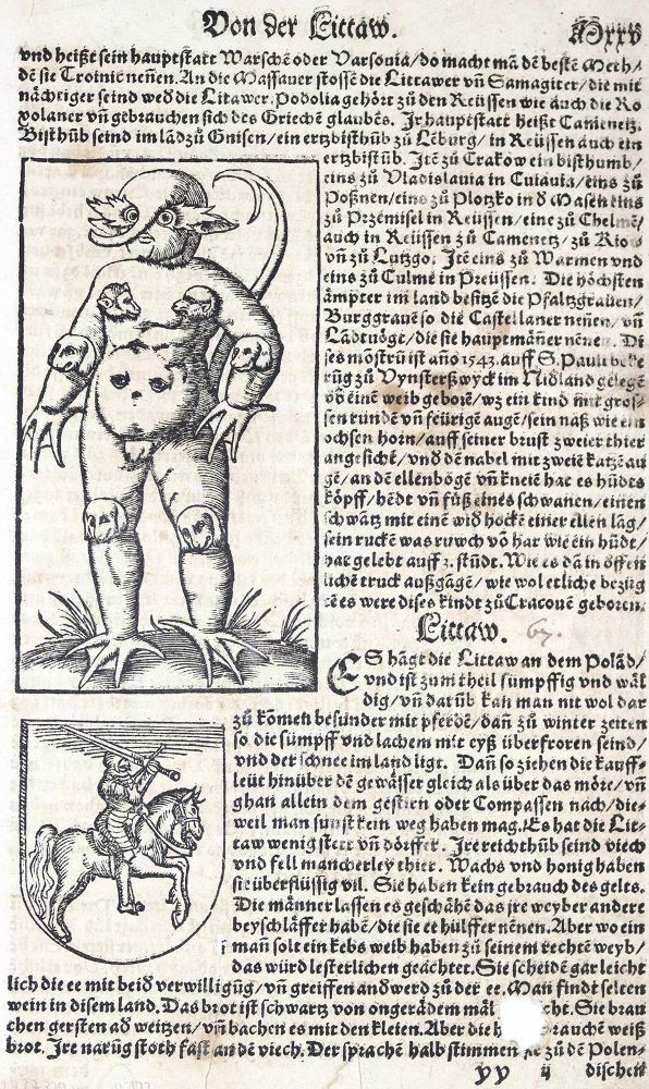 Große Abbildung Nr.1: 123-87 Münster,s.: (Buchholzschnitte)