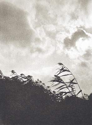 Bild Nr.1: 123-1221 Sudek,J.: (Photographie)