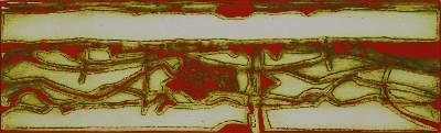 Bild Nr.2: 123-1282 Sperschneider,H.: (Literatur und illustrierte Bücher 20.Jahrhundert - Alte Literatur in modernen Ausgaben)