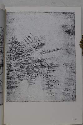 Bild Nr.2: 123-1291 Profil.: (Uecker)