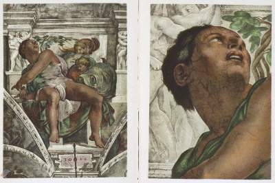 Bild Nr.1: 123-1317 Hochstetter,C.F.: (Botanik)