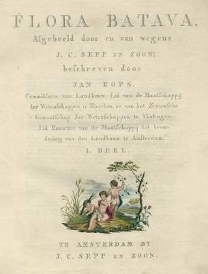 Bild Nr.1: 123-1324 Kops,J.: (Botanik)