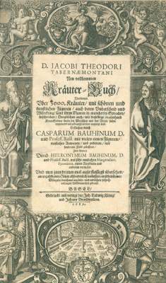 Bild Nr.1: 123-1328 Tabernaemontanus,J.T.: (Botanik, Kräuterbücher)