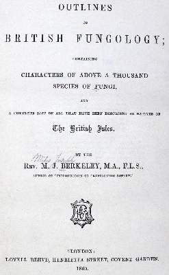 Bild Nr.1: 123-1355 Sammlung: (Botanik, Pilze)