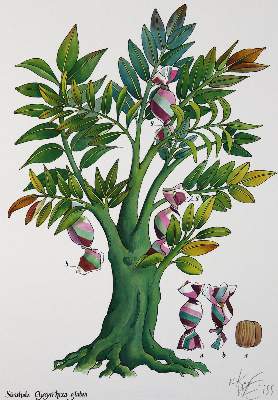 Bild Nr.1: 123-1365 Weiss,O.: (Botanik)