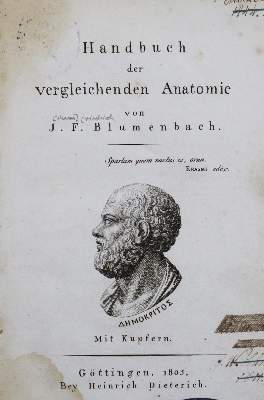Bild Nr.1: 123-1372 Blumenbach,J.F.: (Medizin)