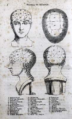 Bild Nr.1: 123-1422 Scheve,G.: (Medizin, Phrenologie)