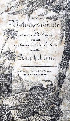 Bild Nr.1: 123-1437 (Buhle,C.A.A.).: (Zoologie)