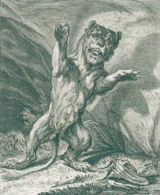 Bild Nr.1: 123-1453 Ridinger,J.E.: (Zoologie)