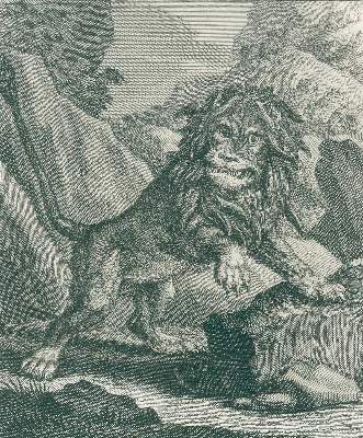 Bild Nr.2: 123-1453 Ridinger,J.E.: (Zoologie)
